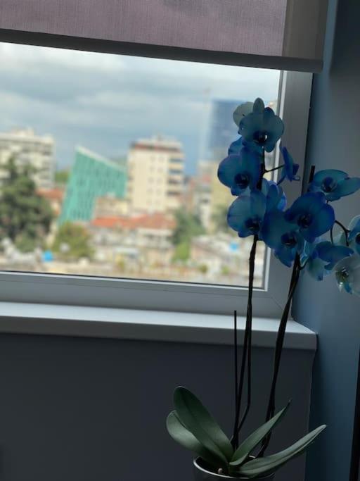 地拉那Voyage Penthouse公寓 外观 照片
